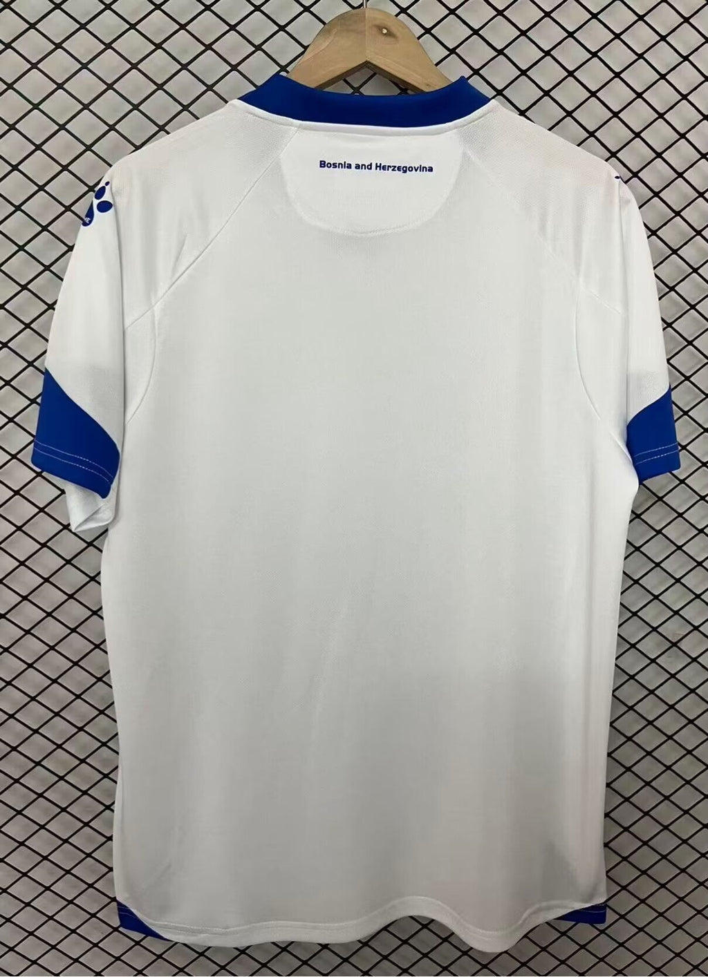 BOSNIA — Europe Other