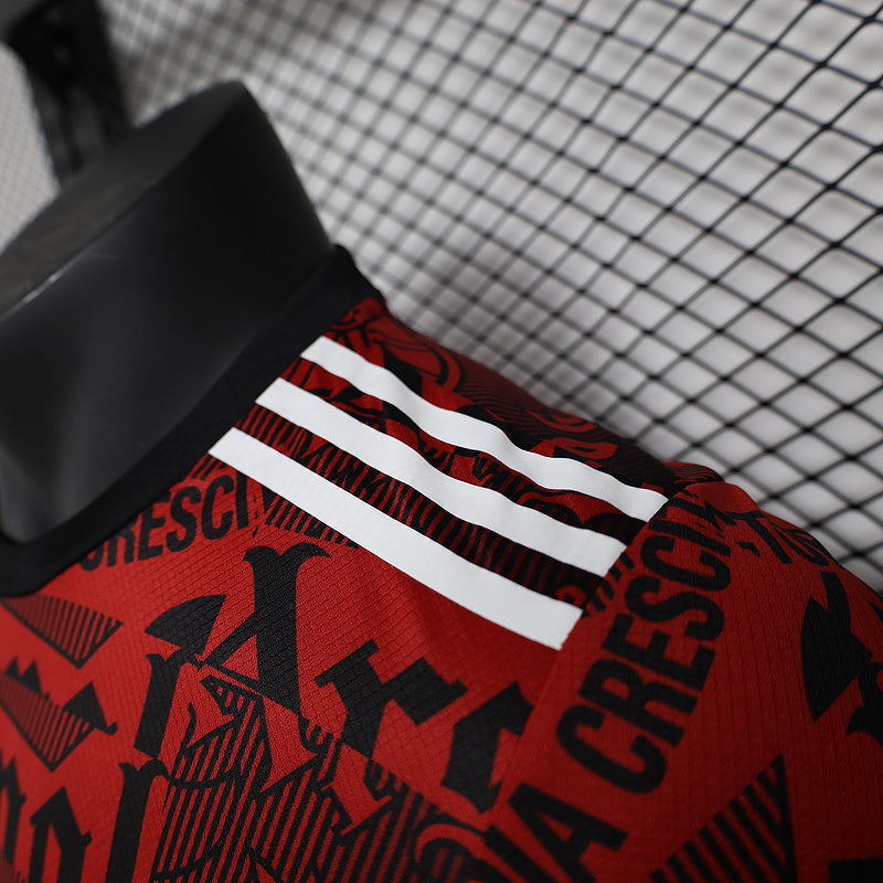 24-25 Arsenal Red Special Player version jersey