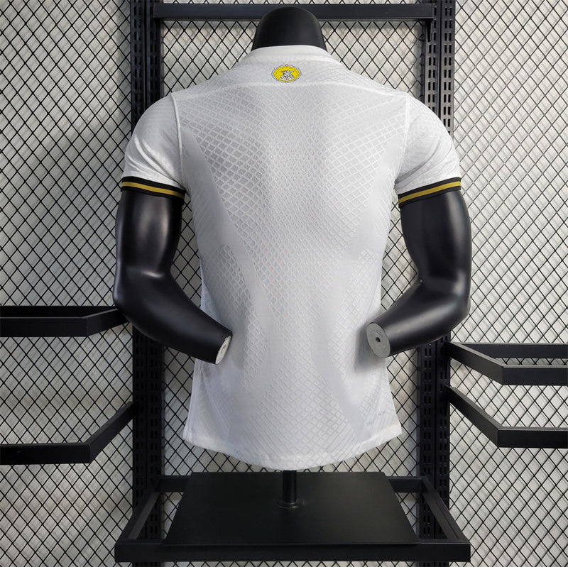 AIK Sonina 132nd Anniversary Edition player version