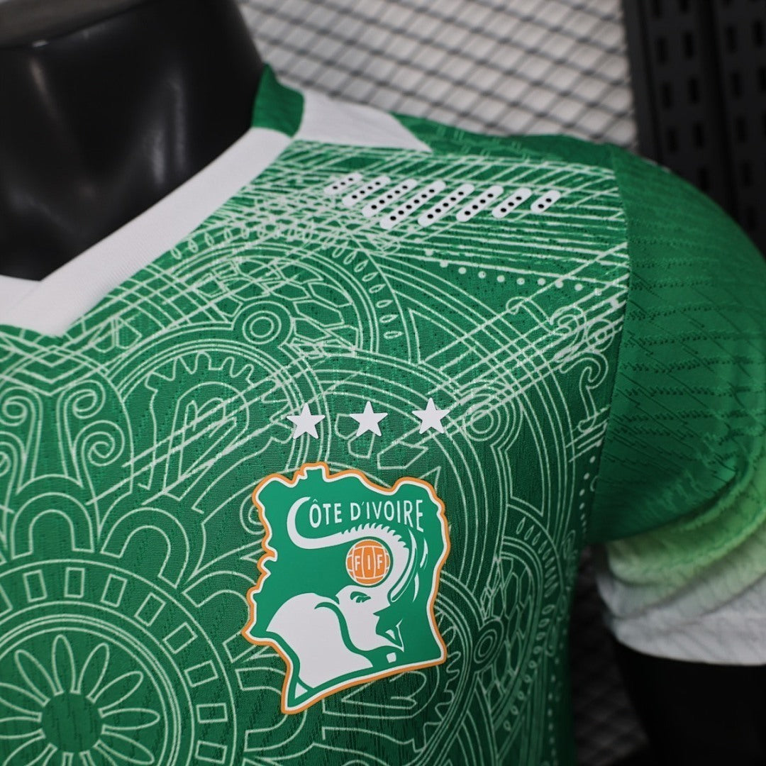 Cote d Ivoire 2026 World Cup Special Edition Green Jersey Player Version S-XXL