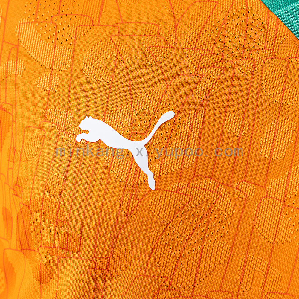Ivory Coast 2025 Home Player Version Jersey S-3XL