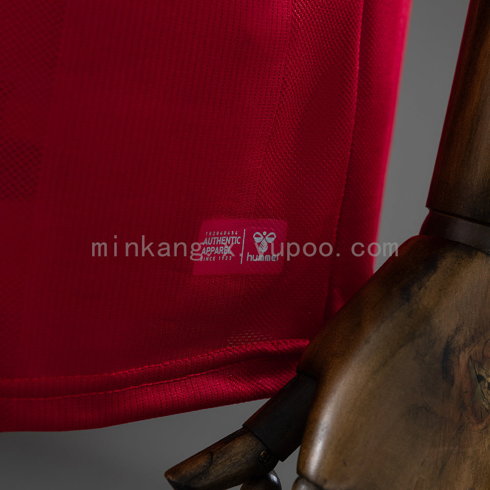 Denmark 2026 Home Jersey S-4XL
