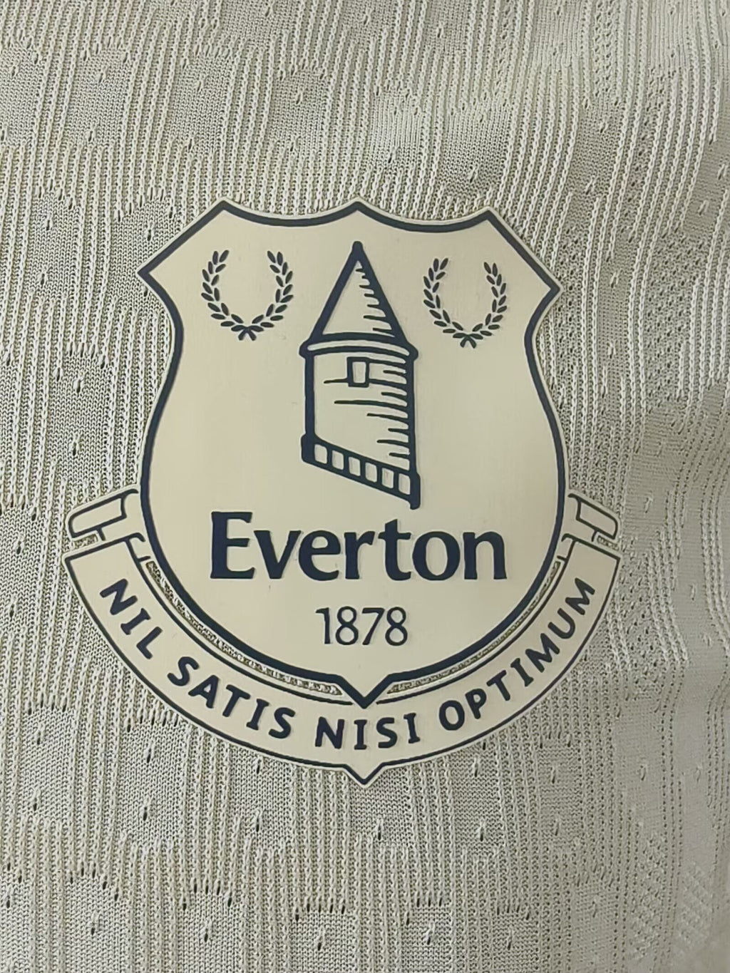 EVERTON Version jugador — Premier League - Championship