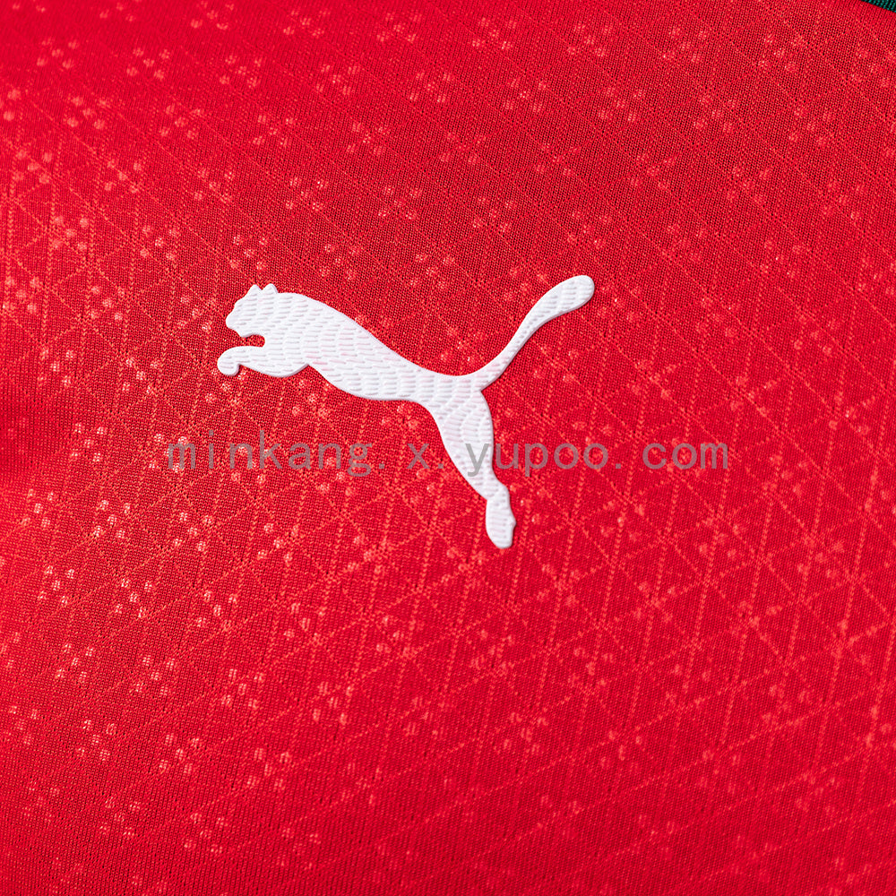Portugal 2025 Home Long Sleeve Player Version Jersey S-3XL