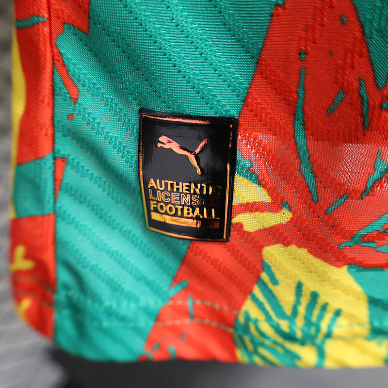 24-25 Ivory Coast Pre-match Player version jersey