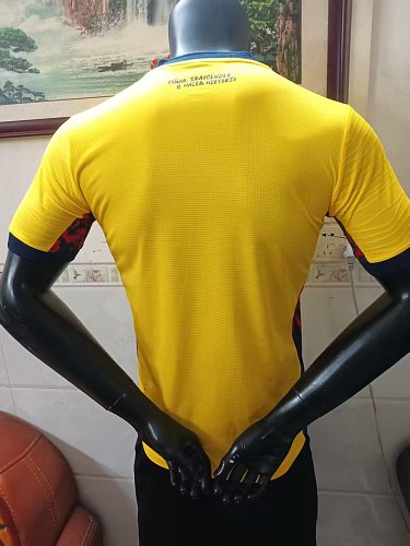2026 Ecuador Home Player version S-3XL — Jsonwang 26/27