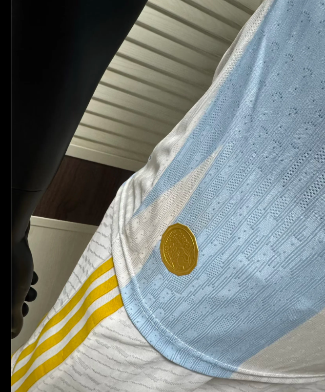 GREMIO Version jugador — Brasileirao