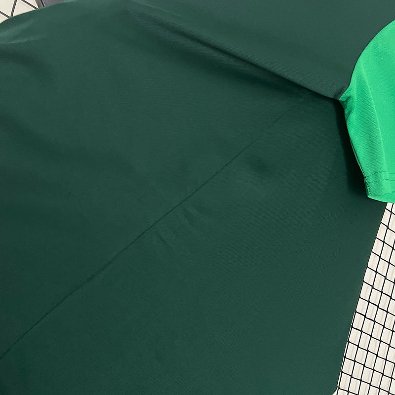 24-25 Palmeiras green Polo