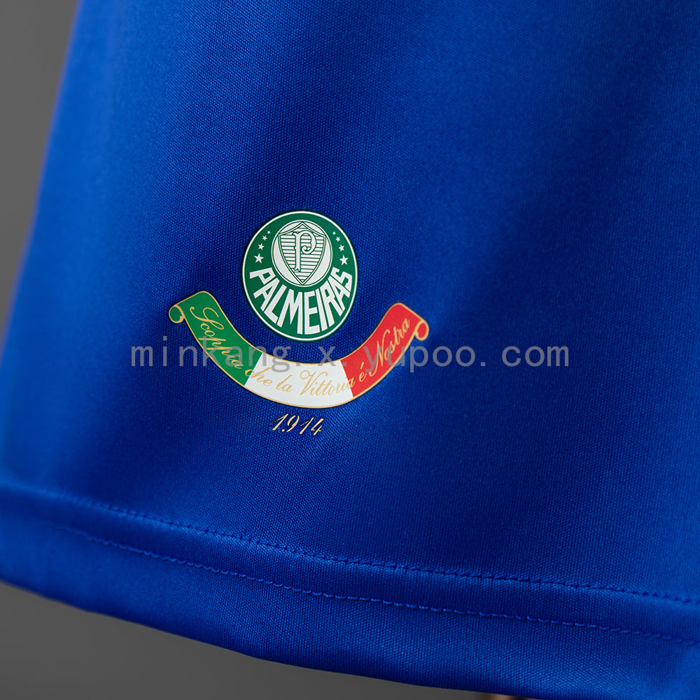 Palmeiras 09/10 Third Away Retro Jersey S-XXL
