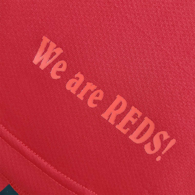 2008 Urawa Red Diamonds home