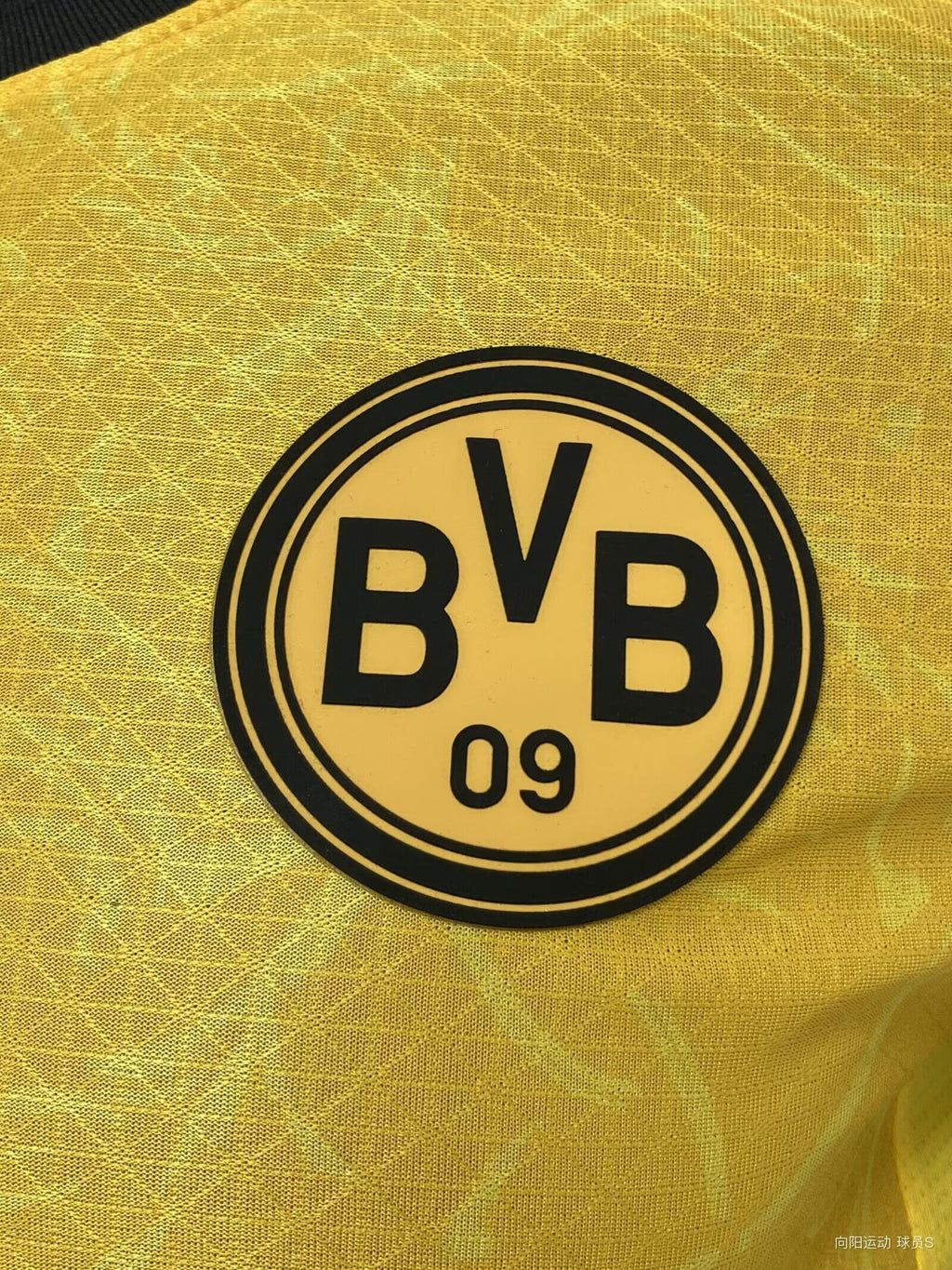 DORTMUND Version jugador — Bundesliga